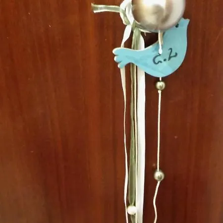 Location Appartement *